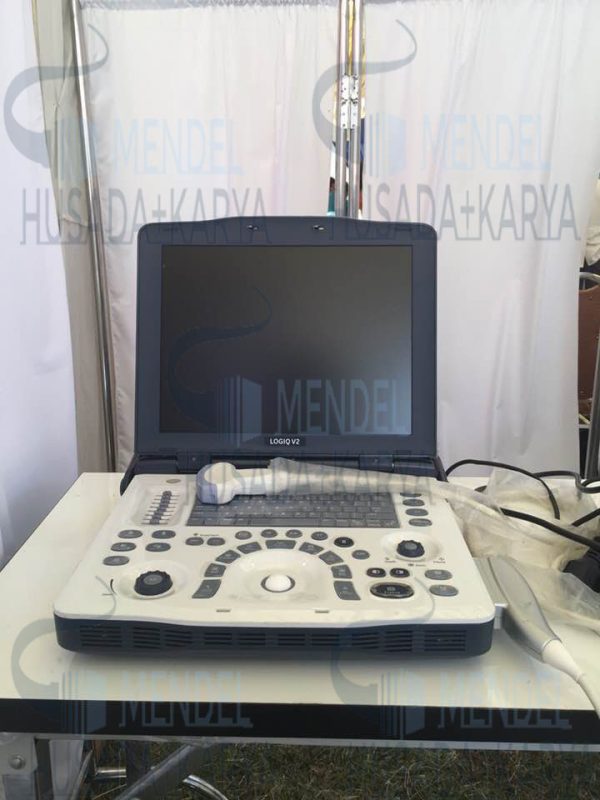 GE Logiq V2 Ultrasound System