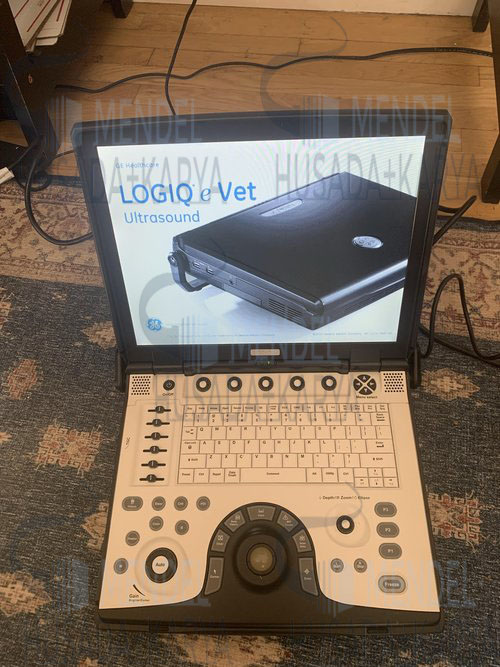GE Logiq e Vet Ultrasound