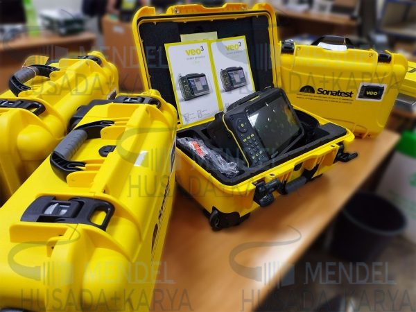 Sonatest Veo3 Flaw Detector