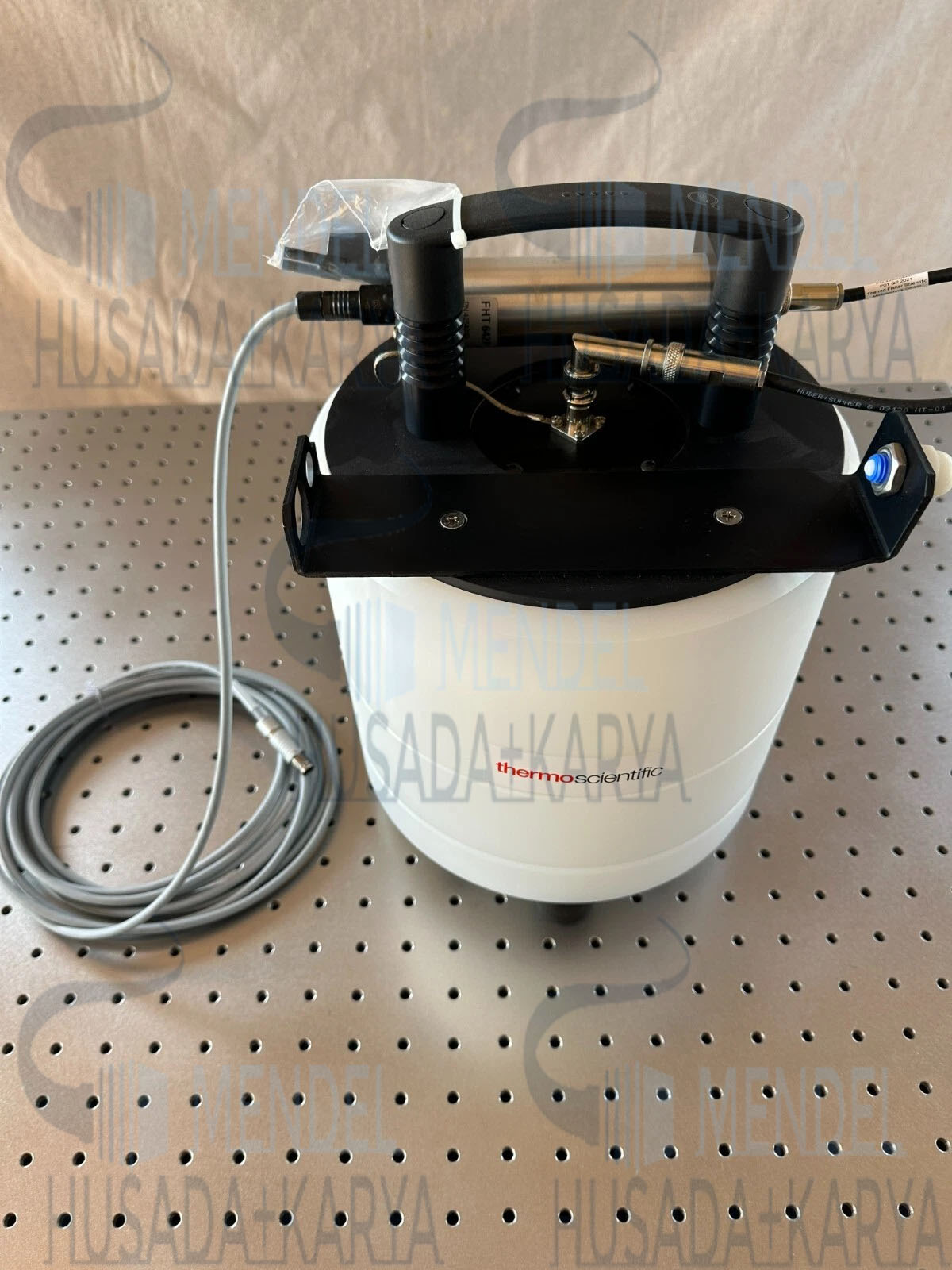 Thermo Scientific Wide Energy Neutron Detection Sys